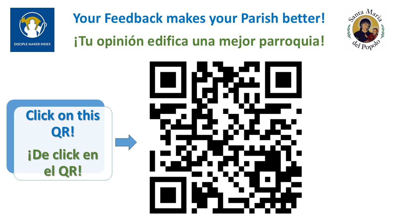 Encuesta Parroquial DMI